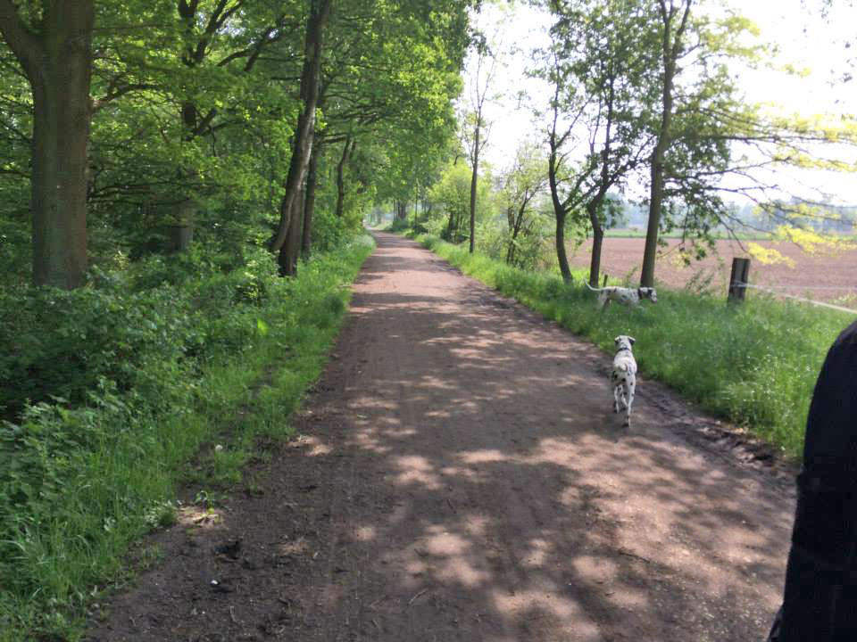 erster Mai 2014