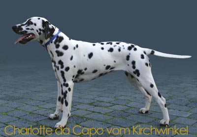 Chalott da Capo vom Kirchwinkel