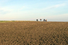 wanderungjanuar15_15