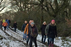wanderungjanuar15_25