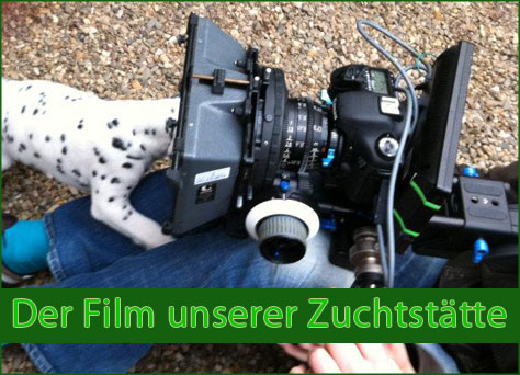 unser Video