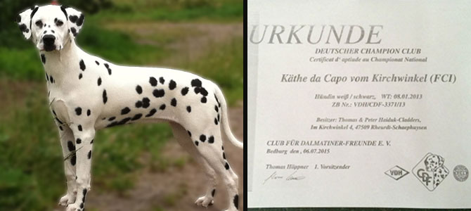 Champion Kaethe da Capo vom Kirchwinkel